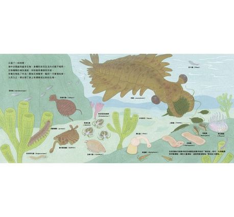 骨之旅：從海洋到陸地，看見人類與萬物的演化關係